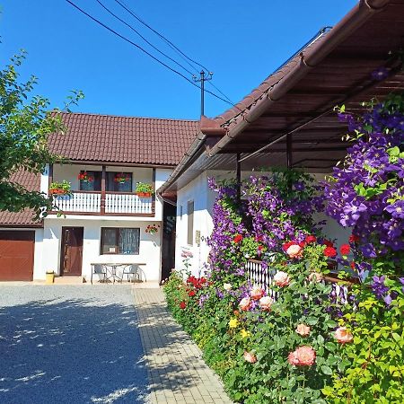 Apartamento Casa Sallai Sovata Exterior foto