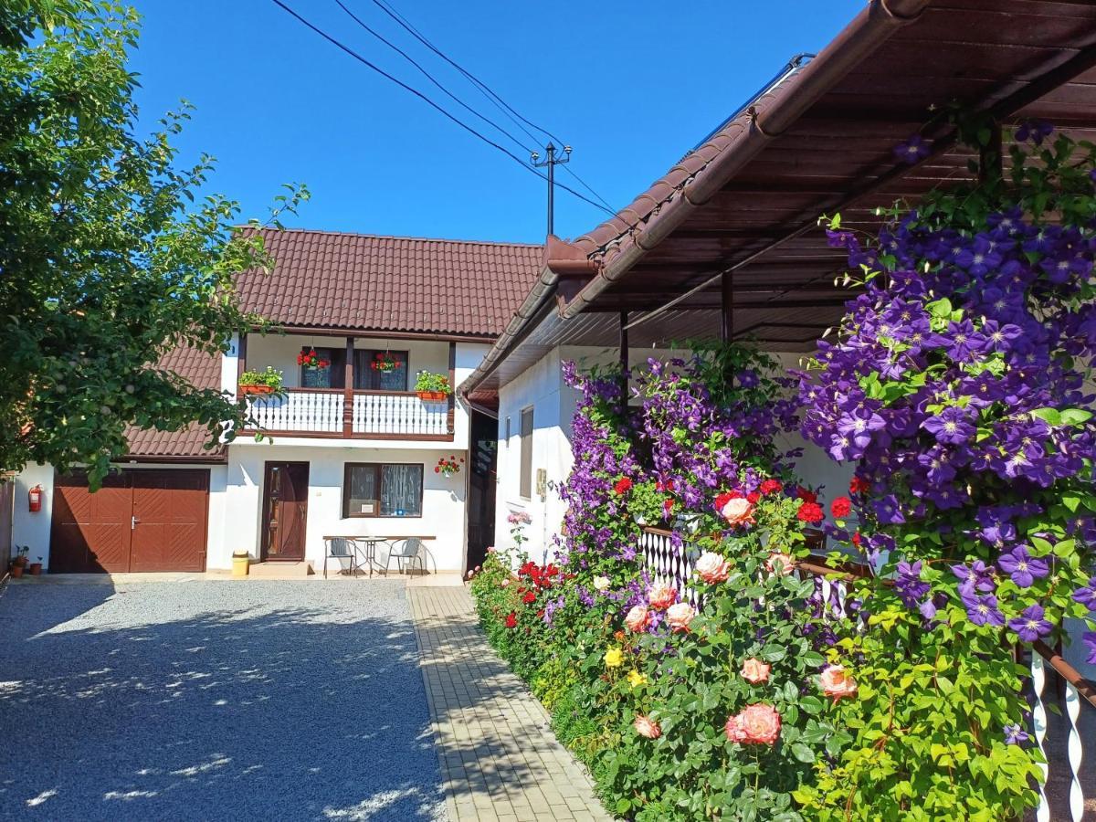 Apartamento Casa Sallai Sovata Exterior foto